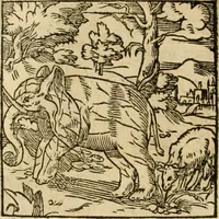 An illustration from Horou Apollonos neiloou Hieroglyphika = Ori Apollinis niliaci, De sacris notis & sculpturis libri duo (1551)