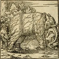 An illustration from Horou Apollonos neiloou Hieroglyphika = Ori Apollinis niliaci, De sacris notis & sculpturis libri duo (1551)
