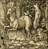 An illustration from Horou Apollonos neiloou Hieroglyphika = Ori Apollinis niliaci, De sacris notis & sculpturis libri duo (1551)