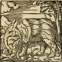 An illustration from Horou Apollonos neiloou Hieroglyphika = Ori Apollinis niliaci, De sacris notis & sculpturis libri duo (1551)