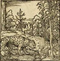 An illustration from Horou Apollonos neiloou Hieroglyphika = Ori Apollinis niliaci, De sacris notis & sculpturis libri duo (1551)