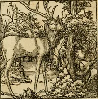 An illustration from Horou Apollonos neiloou Hieroglyphika = Ori Apollinis niliaci, De sacris notis & sculpturis libri duo (1551)