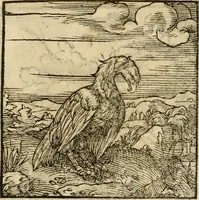 An illustration from Horou Apollonos neiloou Hieroglyphika = Ori Apollinis niliaci, De sacris notis & sculpturis libri duo (1551)