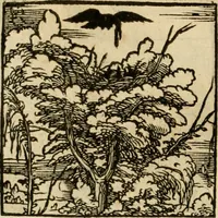 An illustration from Horou Apollonos neiloou Hieroglyphika = Ori Apollinis niliaci, De sacris notis & sculpturis libri duo (1551)