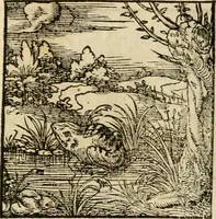 An illustration from Horou Apollonos neiloou Hieroglyphika = Ori Apollinis niliaci, De sacris notis & sculpturis libri duo (1551)