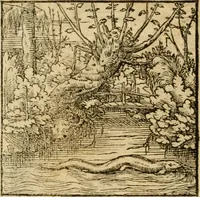 An illustration from Horou Apollonos neiloou Hieroglyphika = Ori Apollinis niliaci, De sacris notis & sculpturis libri duo (1551)