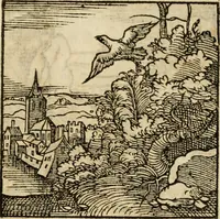 An illustration from Horou Apollonos neiloou Hieroglyphika = Ori Apollinis niliaci, De sacris notis & sculpturis libri duo (1551)