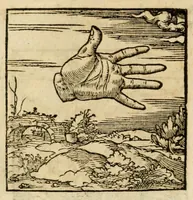 An illustration from Horou Apollonos neiloou Hieroglyphika = Ori Apollinis niliaci, De sacris notis & sculpturis libri duo (1551)
