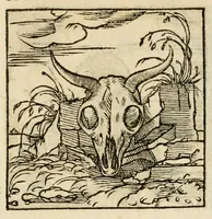Picture 217 of 220 from Horou Apollonos neiloou Hieroglyphika = Ori Apollinis niliaci, De sacris notis & sculpturis libri duo (1551), leaf 245