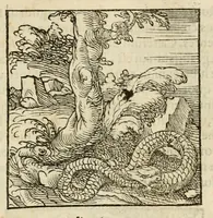 An illustration from Horou Apollonos neiloou Hieroglyphika = Ori Apollinis niliaci, De sacris notis & sculpturis libri duo (1551)