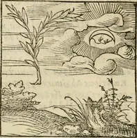 An illustration from Horou Apollonos neiloou Hieroglyphika = Ori Apollinis niliaci, De sacris notis & sculpturis libri duo (1551)