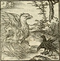 An illustration from Horou Apollonos neiloou Hieroglyphika = Ori Apollinis niliaci, De sacris notis & sculpturis libri duo (1551)