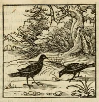 An illustration from Horou Apollonos neiloou Hieroglyphika = Ori Apollinis niliaci, De sacris notis & sculpturis libri duo (1551)