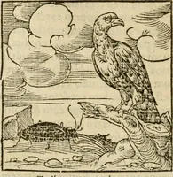 An illustration from Horou Apollonos neiloou Hieroglyphika = Ori Apollinis niliaci, De sacris notis & sculpturis libri duo (1551)