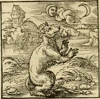 An illustration from Horou Apollonos neiloou Hieroglyphika = Ori Apollinis niliaci, De sacris notis & sculpturis libri duo (1551)