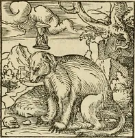 An illustration from Horou Apollonos neiloou Hieroglyphika = Ori Apollinis niliaci, De sacris notis & sculpturis libri duo (1551)