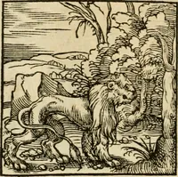An illustration from Horou Apollonos neiloou Hieroglyphika = Ori Apollinis niliaci, De sacris notis & sculpturis libri duo (1551)