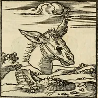 An illustration from Horou Apollonos neiloou Hieroglyphika = Ori Apollinis niliaci, De sacris notis & sculpturis libri duo (1551)