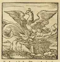 An illustration from Horou Apollonos neiloou Hieroglyphika = Ori Apollinis niliaci, De sacris notis & sculpturis libri duo (1551)