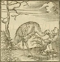 An illustration from Horou Apollonos neiloou Hieroglyphika = Ori Apollinis niliaci, De sacris notis & sculpturis libri duo (1551)
