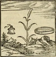 An illustration from Horou Apollonos neiloou Hieroglyphika = Ori Apollinis niliaci, De sacris notis & sculpturis libri duo (1551)