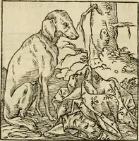 An illustration from Horou Apollonos neiloou Hieroglyphika = Ori Apollinis niliaci, De sacris notis & sculpturis libri duo (1551)