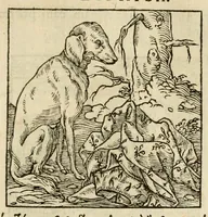 An illustration from Horou Apollonos neiloou Hieroglyphika = Ori Apollinis niliaci, De sacris notis & sculpturis libri duo (1551)