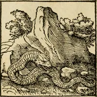 Picture 49 of 220 from Horou Apollonos neiloou Hieroglyphika = Ori Apollinis niliaci, De sacris notis & sculpturis libri duo (1551), leaf 89