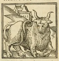 An illustration from Horou Apollonos neiloou Hieroglyphika = Ori Apollinis niliaci, De sacris notis & sculpturis libri duo (1551)
