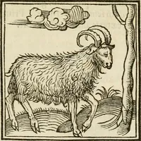 An illustration from Horou Apollonos neiloou Hieroglyphika = Ori Apollinis niliaci, De sacris notis & sculpturis libri duo (1551)