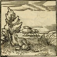 An illustration from Horou Apollonos neiloou Hieroglyphika = Ori Apollinis niliaci, De sacris notis & sculpturis libri duo (1551)