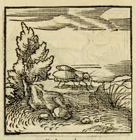An illustration from Horou Apollonos neiloou Hieroglyphika = Ori Apollinis niliaci, De sacris notis & sculpturis libri duo (1551)