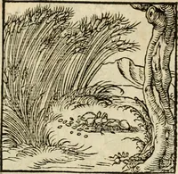 An illustration from Horou Apollonos neiloou Hieroglyphika = Ori Apollinis niliaci, De sacris notis & sculpturis libri duo (1551)