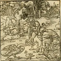 An illustration from Horou Apollonos neiloou Hieroglyphika = Ori Apollinis niliaci, De sacris notis & sculpturis libri duo (1551)