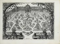 An illustration from Hortus floridus in quo rariorum & minus vulgarium florum icones ad vivam veramq[ue] formam accuratissime delineatae, et secundum quatuor anni tempora divisae exhibentur (1614)