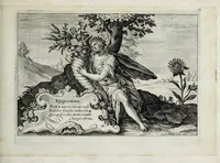 An illustration from Hortus floridus in quo rariorum & minus vulgarium florum icones ad vivam veramq[ue] formam accuratissime delineatae, et secundum quatuor anni tempora divisae exhibentur (1614)