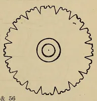 Picture 3 of 5 from Hosiery manufacture (1920), leaf 127