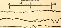 Picture 13 of 29 from Hours with the ghosts, or, Nineteenth century witchcraft : illustrated investigations into the phenomena of spiritualism and theosophy (1897), leaf 131