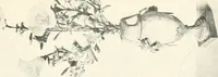 An illustration from The house dignified; its design, its arrangement and its decoration (1908)