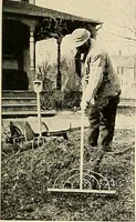 An illustration from House & garden's book of gardens; containing over four hundred illustrations of special flower types, plans and suggestions for landscape work, a complete gardener's calendar of the year's activities, planting and spraying tables, and a portfolio of beautiful gardens in varied sections of the United States and foreign countries (1921)