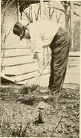 An illustration from House & garden's book of gardens; containing over four hundred illustrations of special flower types, plans and suggestions for landscape work, a complete gardener's calendar of the year's activities, planting and spraying tables, and a portfolio of beautiful gardens in varied sections of the United States and foreign countries (1921)