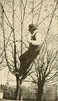 An illustration from House & garden's book of gardens; containing over four hundred illustrations of special flower types, plans and suggestions for landscape work, a complete gardener's calendar of the year's activities, planting and spraying tables, and a portfolio of beautiful gardens in varied sections of the United States and foreign countries (1921)