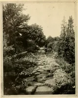 Picture 3 of 295 from House & garden's book of gardens; containing over four hundred illustrations of special flower types, plans and suggestions for landscape work, a complete gardener's calendar of the year's activities, planting and spraying tables, and a portfolio of beautiful gardens in varied sections of the United States and foreign countries (1921), leaf 11
