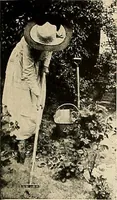 An illustration from House & garden's book of gardens; containing over four hundred illustrations of special flower types, plans and suggestions for landscape work, a complete gardener's calendar of the year's activities, planting and spraying tables, and a portfolio of beautiful gardens in varied sections of the United States and foreign countries (1921)