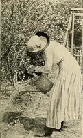 Picture 208 of 295 from House & garden's book of gardens; containing over four hundred illustrations of special flower types, plans and suggestions for landscape work, a complete gardener's calendar of the year's activities, planting and spraying tables, and a portfolio of beautiful gardens in varied sections of the United States and foreign countries (1921), leaf 110