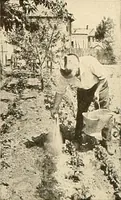 An illustration from House & garden's book of gardens; containing over four hundred illustrations of special flower types, plans and suggestions for landscape work, a complete gardener's calendar of the year's activities, planting and spraying tables, and a portfolio of beautiful gardens in varied sections of the United States and foreign countries (1921)