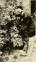 An illustration from House & garden's book of gardens; containing over four hundred illustrations of special flower types, plans and suggestions for landscape work, a complete gardener's calendar of the year's activities, planting and spraying tables, and a portfolio of beautiful gardens in varied sections of the United States and foreign countries (1921)