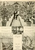 Picture 239 of 295 from House & garden's book of gardens; containing over four hundred illustrations of special flower types, plans and suggestions for landscape work, a complete gardener's calendar of the year's activities, planting and spraying tables, and a portfolio of beautiful gardens in varied sections of the United States and foreign countries (1921), leaf 115