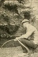 An illustration from House & garden's book of gardens; containing over four hundred illustrations of special flower types, plans and suggestions for landscape work, a complete gardener's calendar of the year's activities, planting and spraying tables, and a portfolio of beautiful gardens in varied sections of the United States and foreign countries (1921)