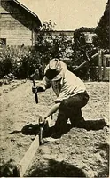 An illustration from House & garden's book of gardens; containing over four hundred illustrations of special flower types, plans and suggestions for landscape work, a complete gardener's calendar of the year's activities, planting and spraying tables, and a portfolio of beautiful gardens in varied sections of the United States and foreign countries (1921)